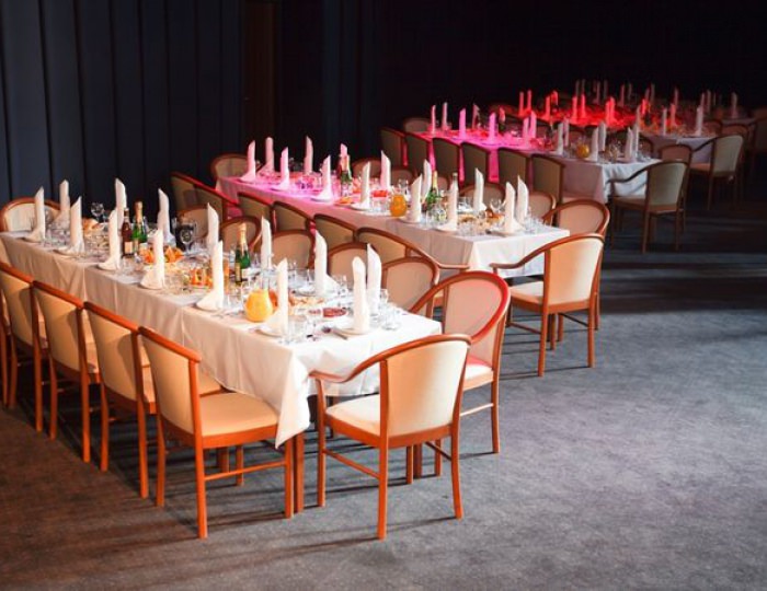 Киноконцертный зал - Отель «Солнечный Park Hotel & SPA»