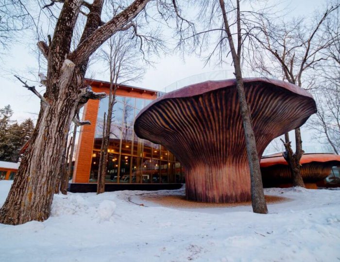 Воздушные бассейны - Отель «Солнечный Park Hotel & SPA»